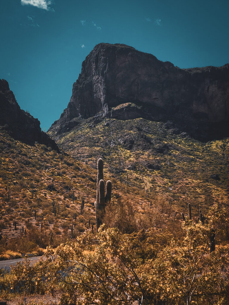 Picacho Peak State Park has an abundance of camping areas.
