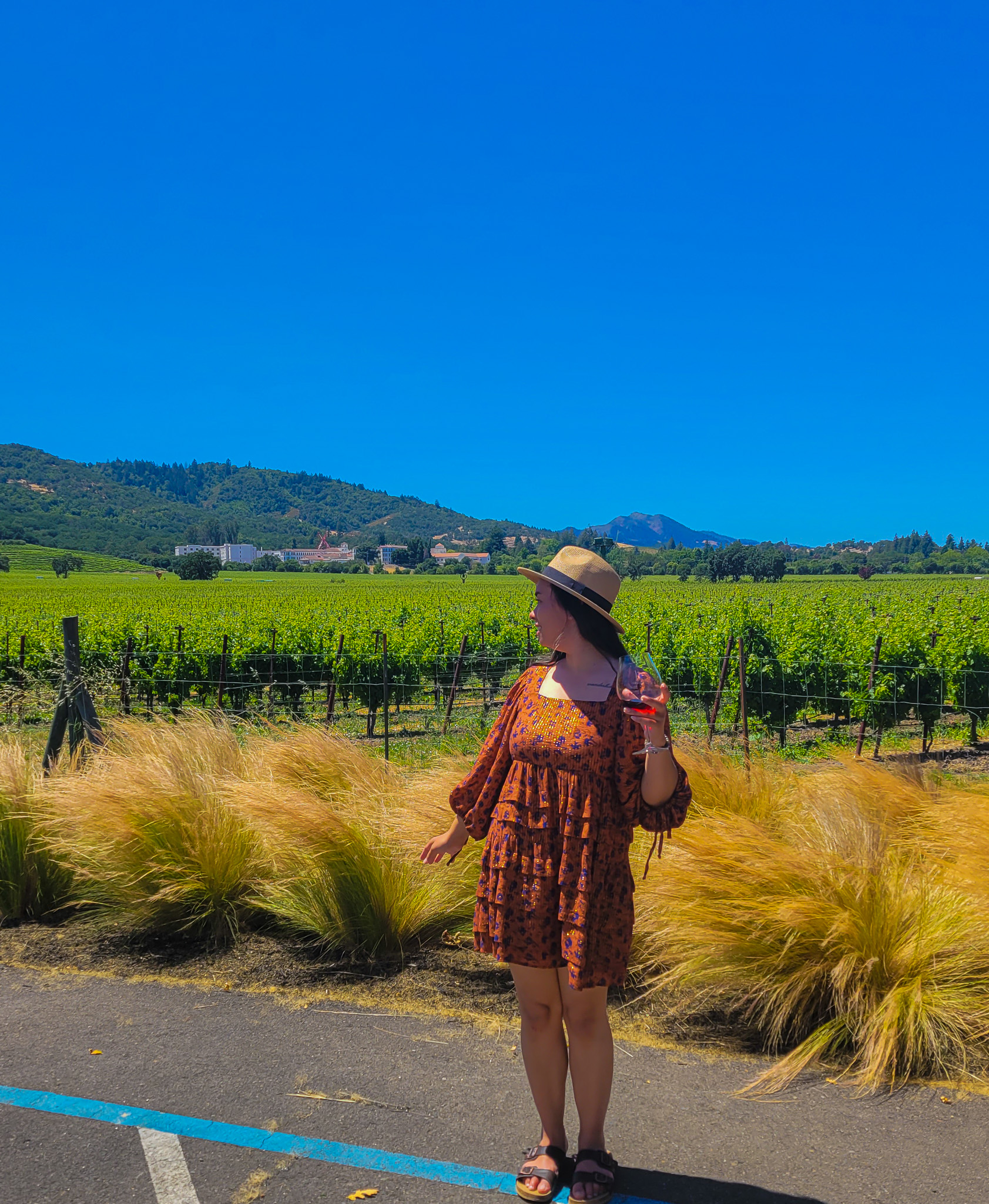 10 Ways to Enjoy USA’s Wine Country Napa Valley and Sonoma Valley