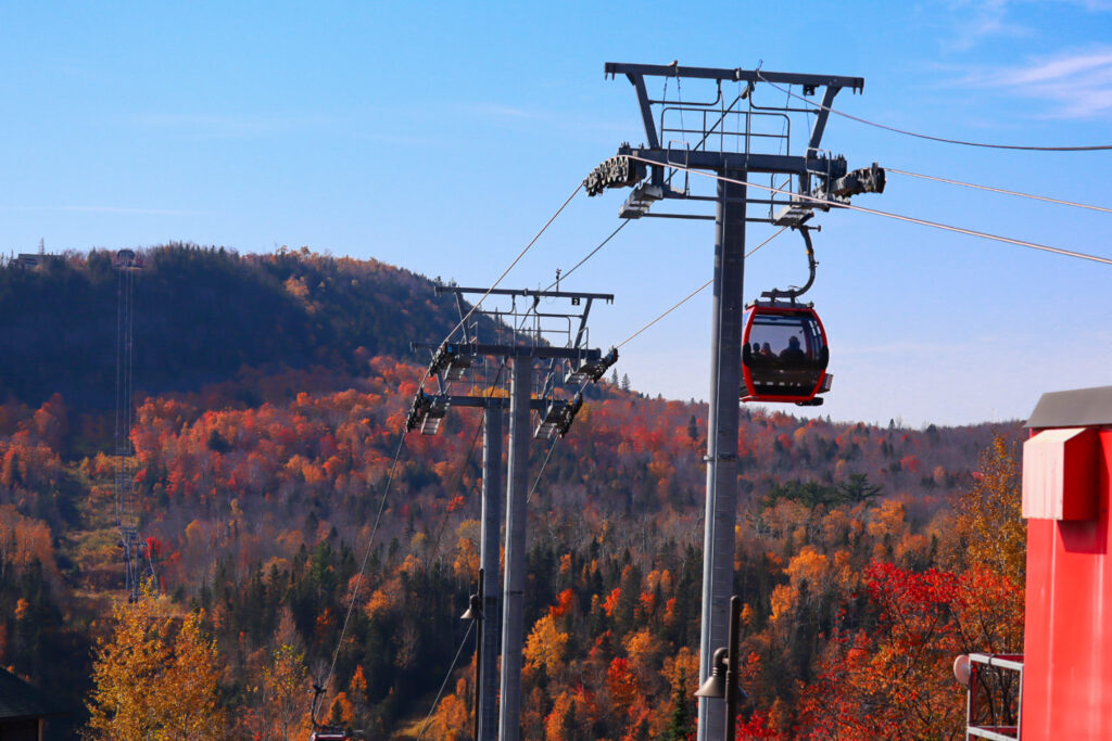 Fall Activities to Enjoy in Minnesota